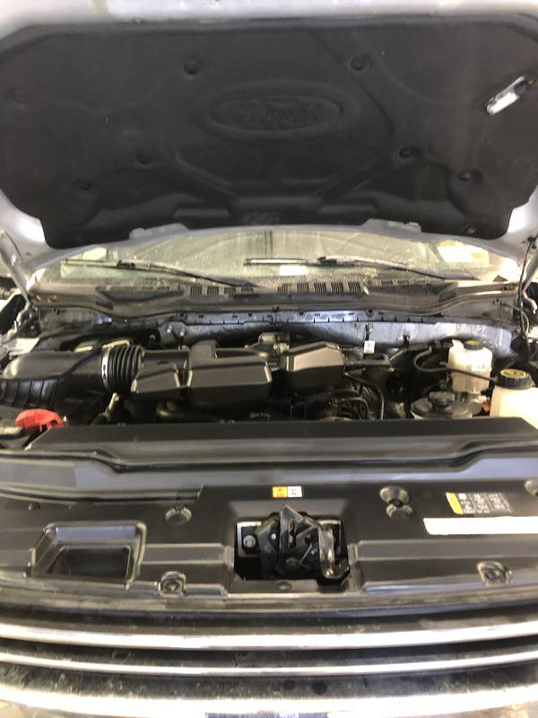 Mobile engine bay cleaning in Charlotte: Ford truck engine bay with clean covers, hoses, and reservoirs